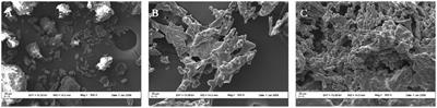 Effect of fermentation on structural properties and antioxidant activity of wheat gluten by Bacillus subtilis